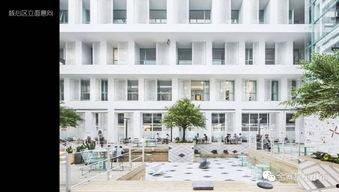 国产综合社区,打造多元化互动平台，引领网络文化新潮流